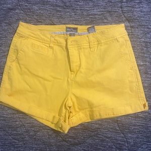 Market & Spruce Canary Yellow Shorts Size 8